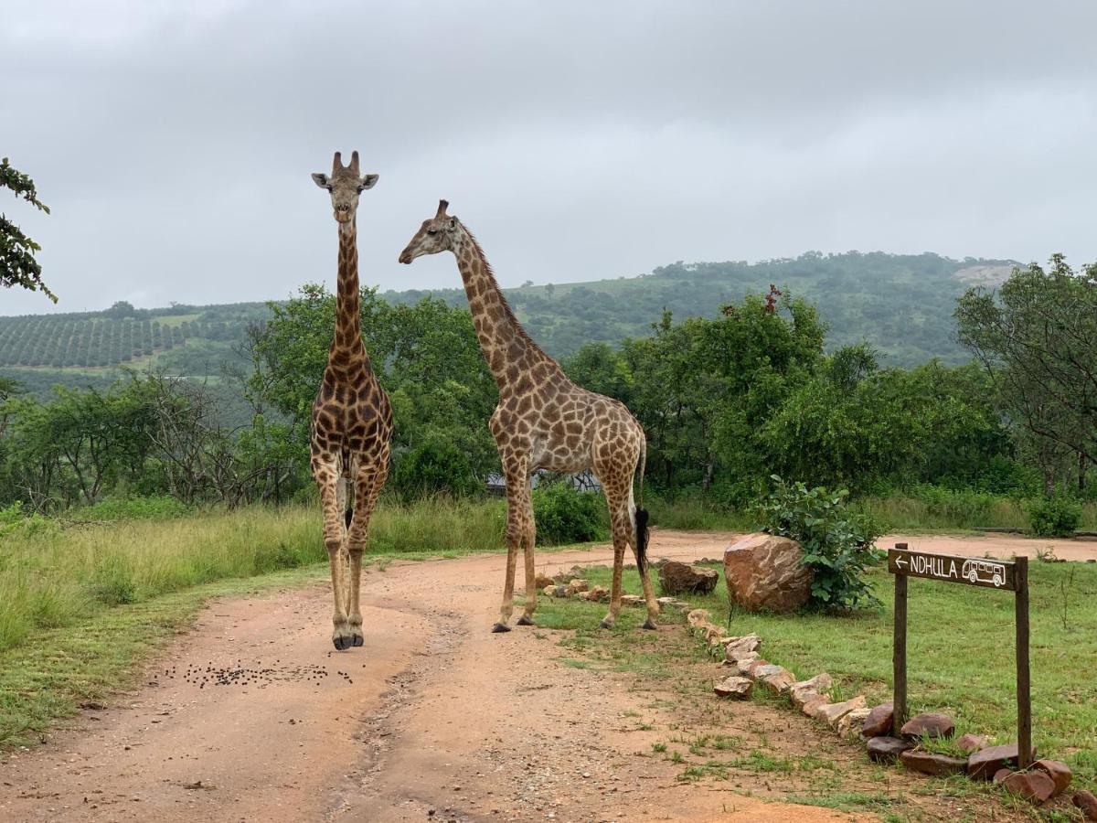Ndhula Luxury Tented Lodge White River Exterior foto