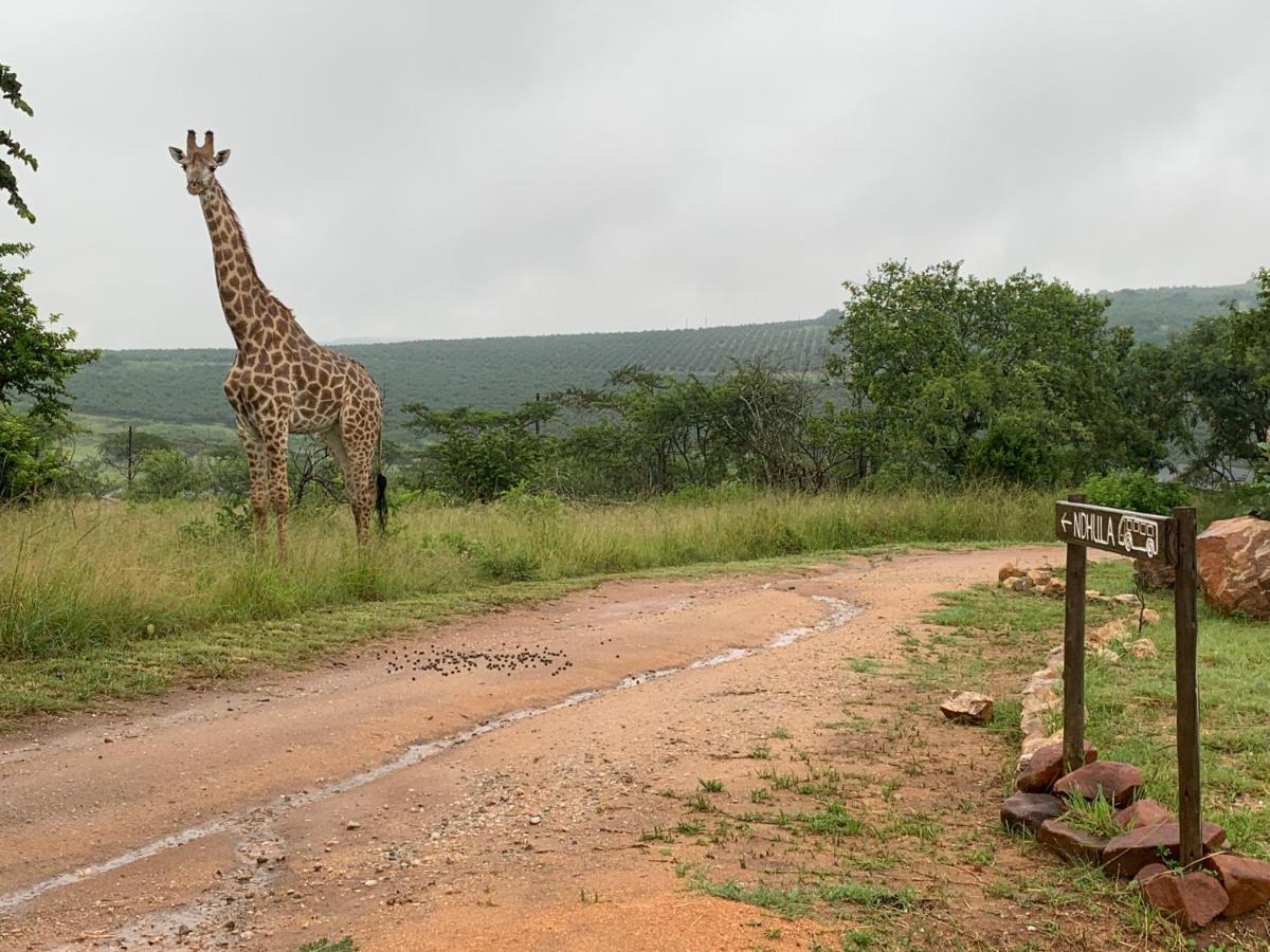 Ndhula Luxury Tented Lodge White River Exterior foto