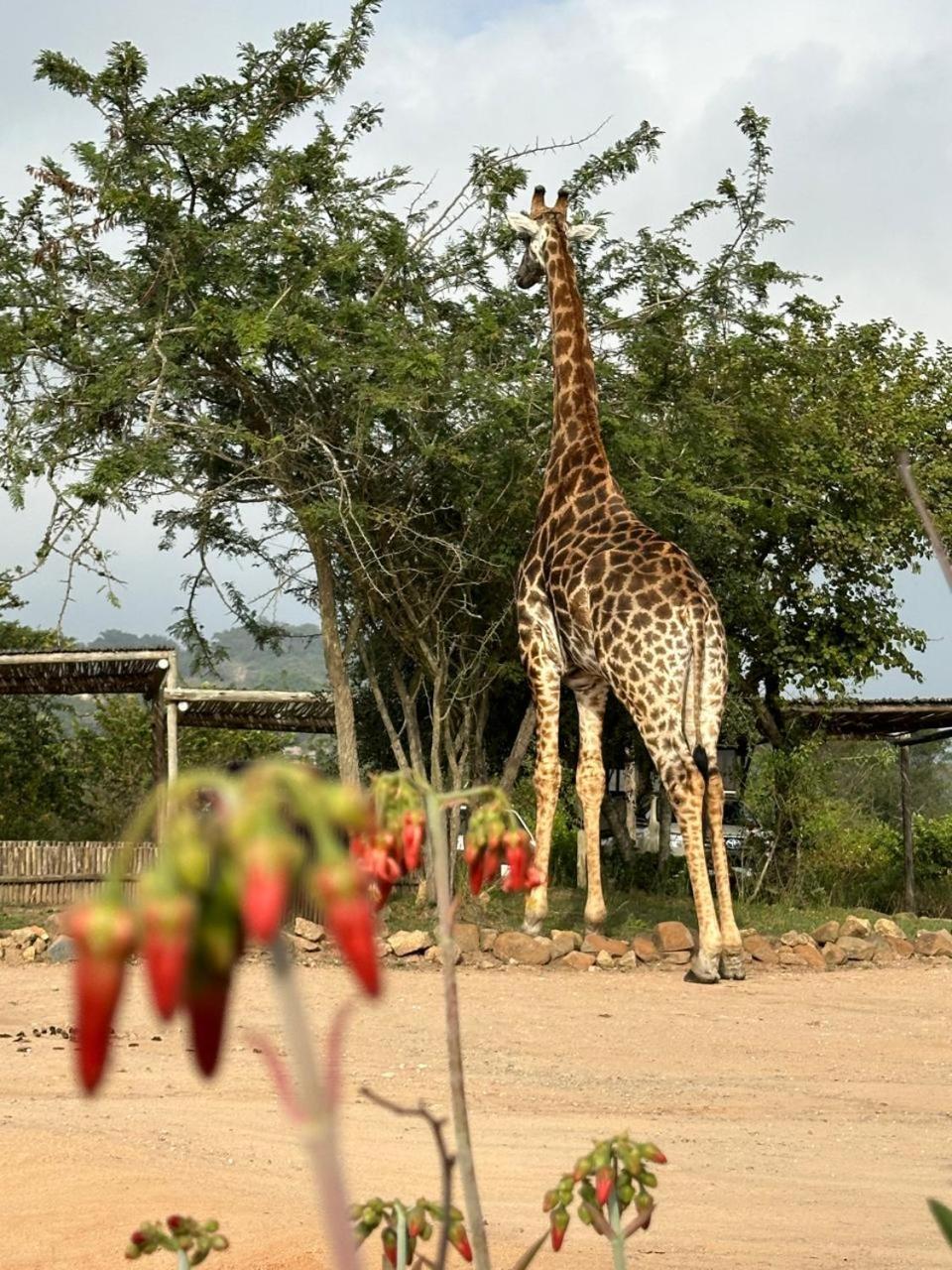 Ndhula Luxury Tented Lodge White River Exterior foto